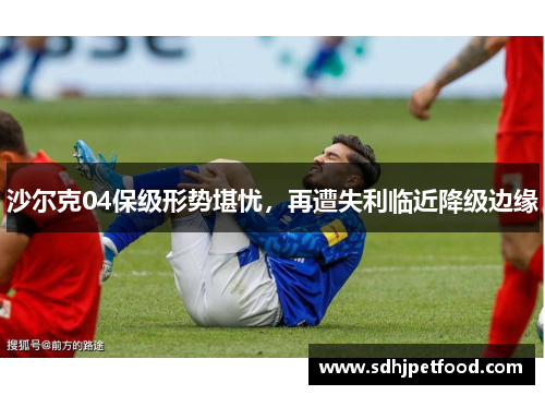 沙尔克04保级形势堪忧，再遭失利临近降级边缘
