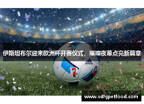 伊斯坦布尔迎来欧洲杯开赛仪式，璀璨夜幕点亮新篇章