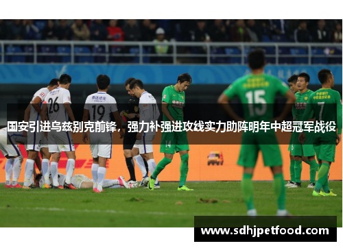 国安引进乌兹别克前锋，强力补强进攻线实力助阵明年中超冠军战役
