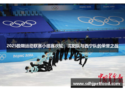 2025极限运动联赛小组赛次轮：沈阳队与西宁队的荣誉之战