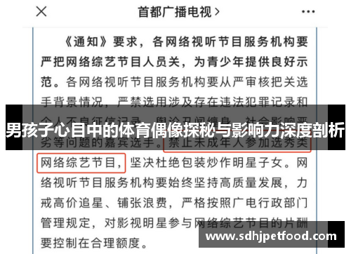男孩子心目中的体育偶像探秘与影响力深度剖析