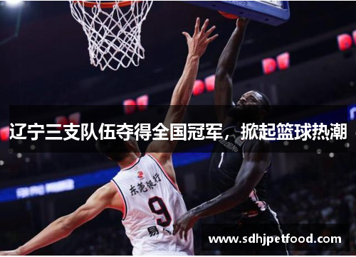 辽宁三支队伍夺得全国冠军，掀起篮球热潮