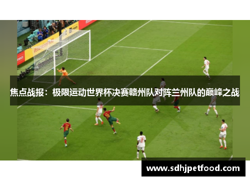 焦点战报：极限运动世界杯决赛赣州队对阵兰州队的巅峰之战
