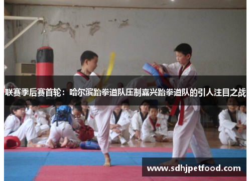 联赛季后赛首轮：哈尔滨跆拳道队压制嘉兴跆拳道队的引人注目之战