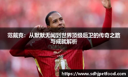 范戴克：从默默无闻到世界顶级后卫的传奇之路与成就解析