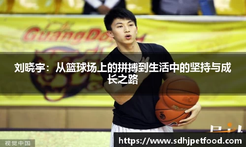 刘晓宇：从篮球场上的拼搏到生活中的坚持与成长之路