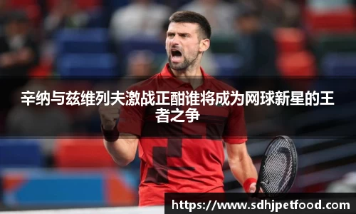 辛纳与兹维列夫激战正酣谁将成为网球新星的王者之争