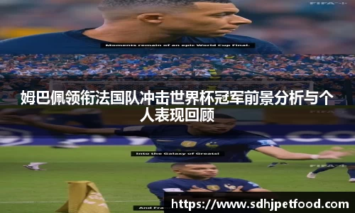 姆巴佩领衔法国队冲击世界杯冠军前景分析与个人表现回顾